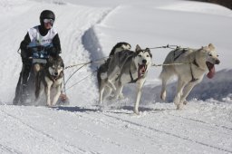 Kandersteg 2013